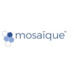 Group logo of Mosaique
