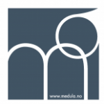 Group logo of Medula Consulting AS